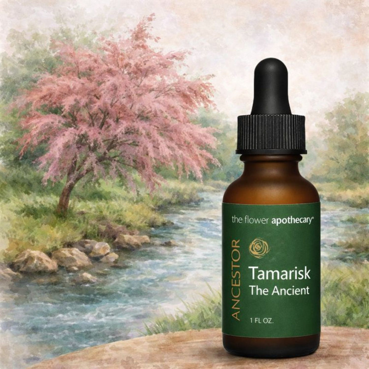 Tamarisk – The Flower Apothecary