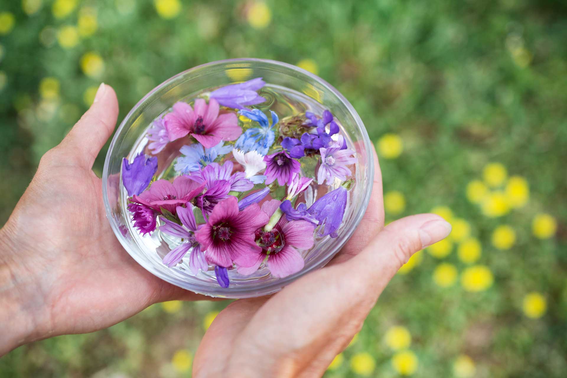What is flower essence therapy?